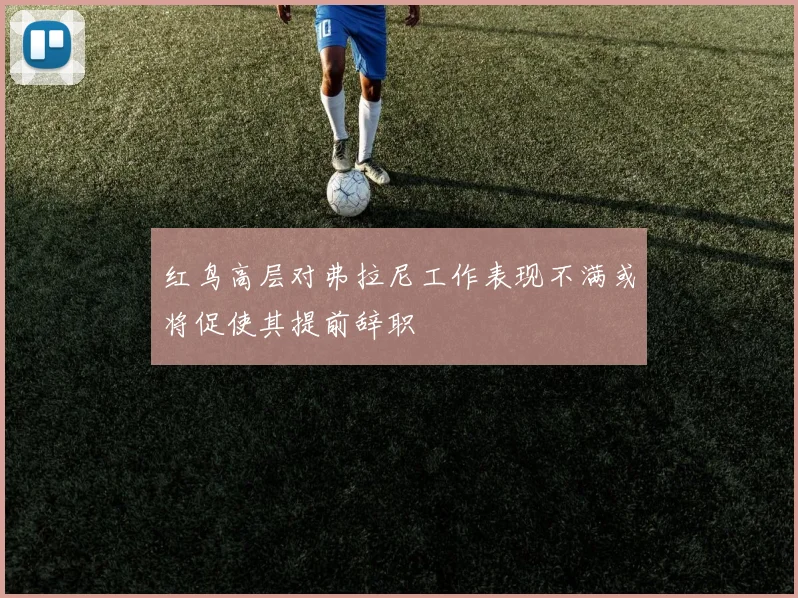 红鸟高层对弗拉尼工作表现不满或将促使其提前辞职