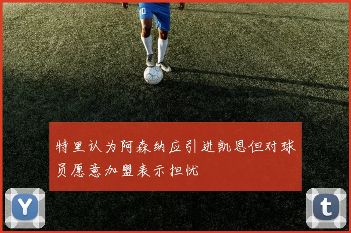 特里认为阿森纳应引进凯恩但对球员愿意加盟表示担忧