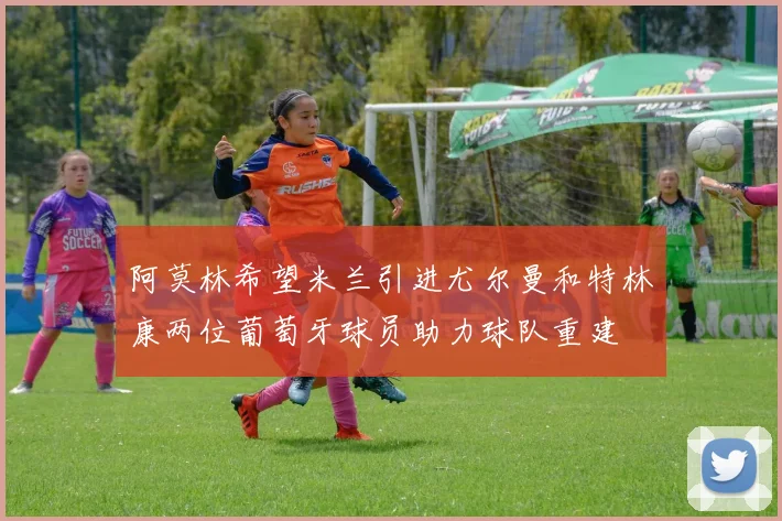 阿莫林希望米兰引进尤尔曼和特林康两位葡萄牙球员助力球队重建