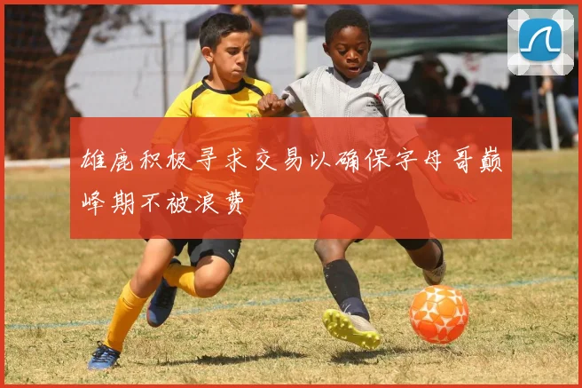 雄鹿积极寻求交易以确保字母哥巅峰期不被浪费